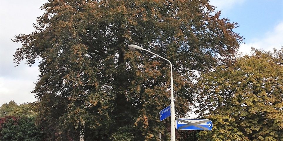181004 Beuk Maurickplein