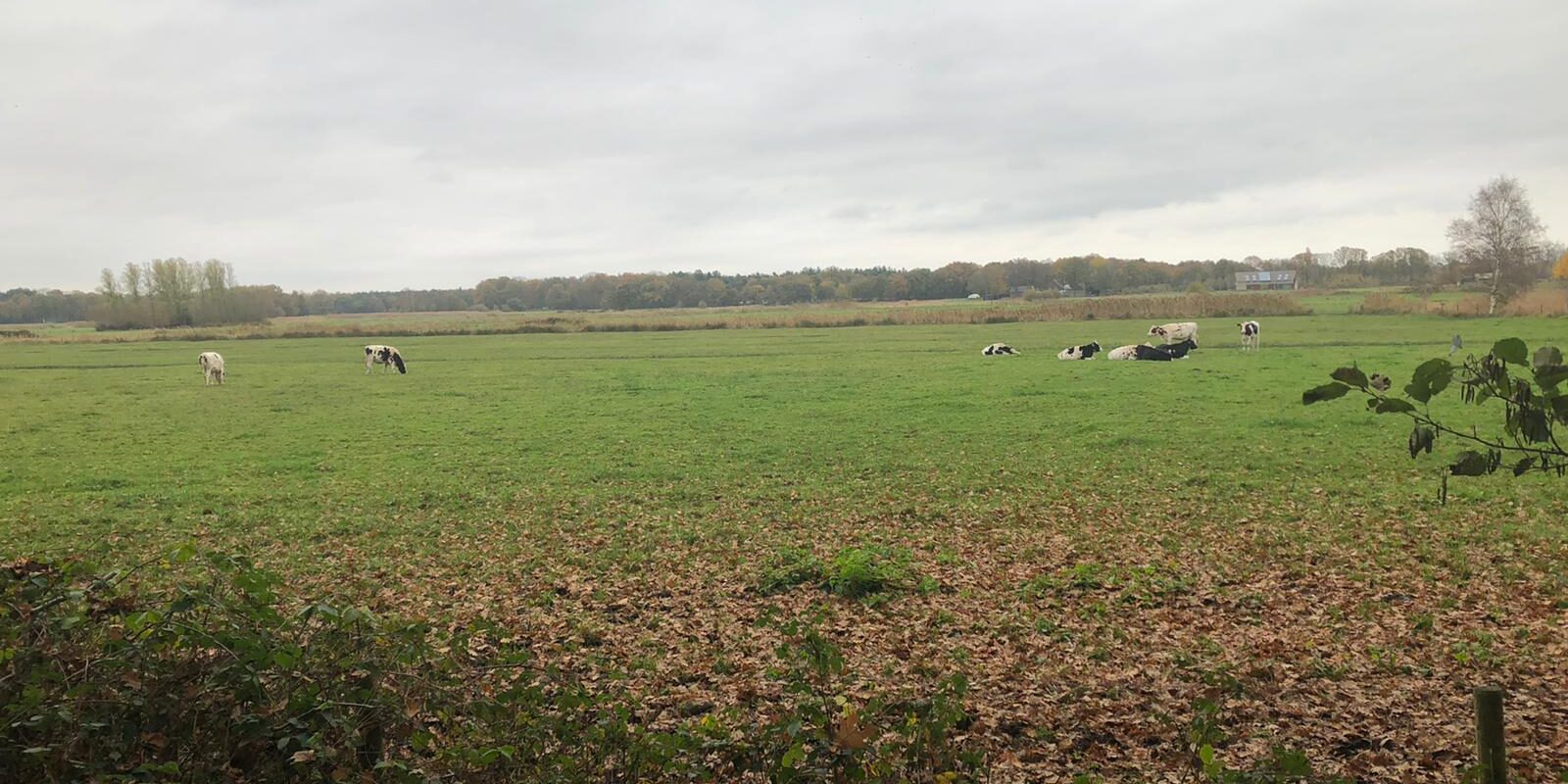 Helvoirt Broek