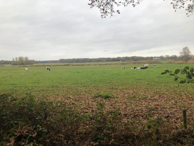Helvoirt Broek