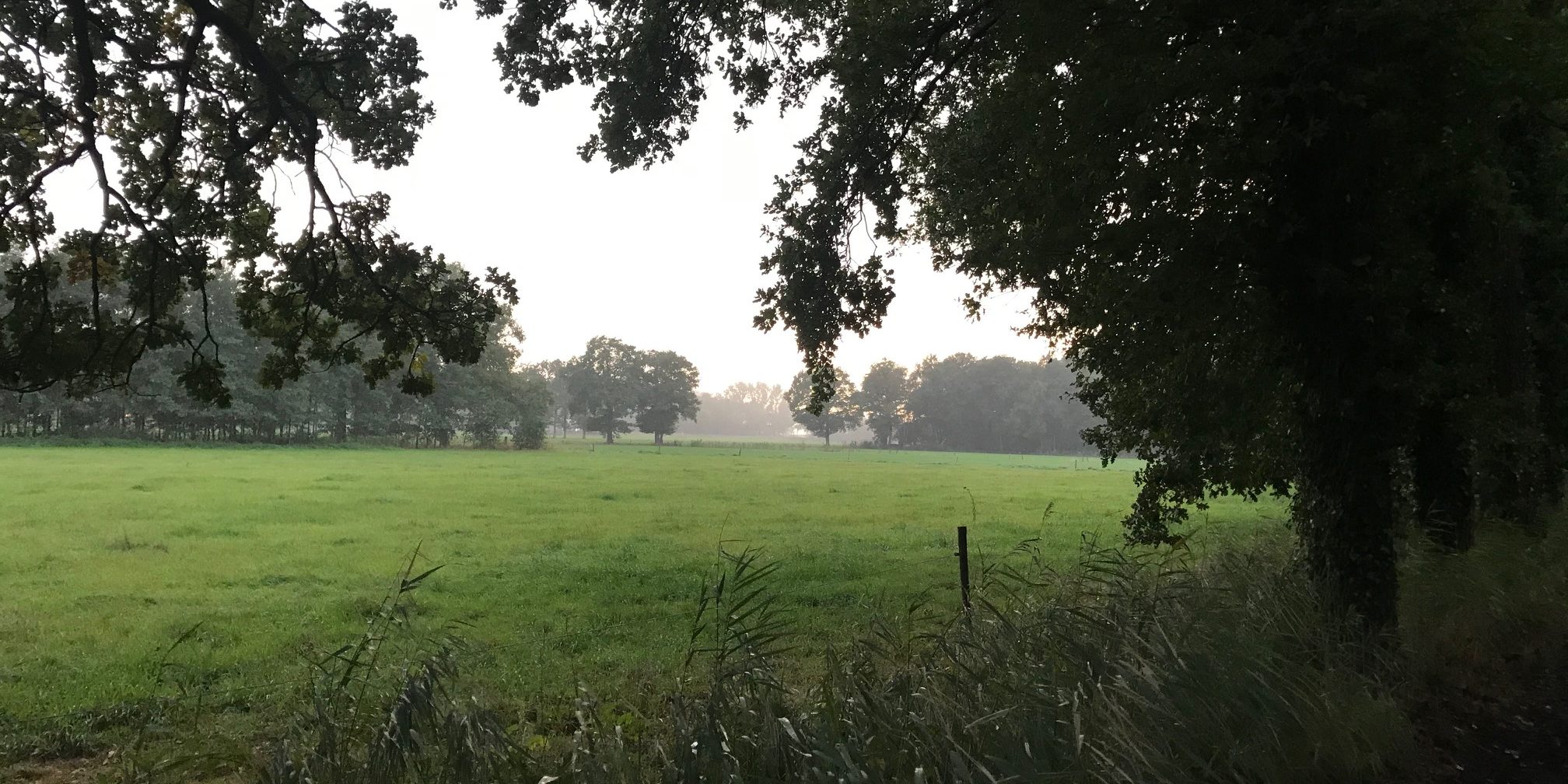 210425 Foto buitengebied