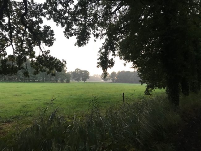 210425 Foto buitengebied