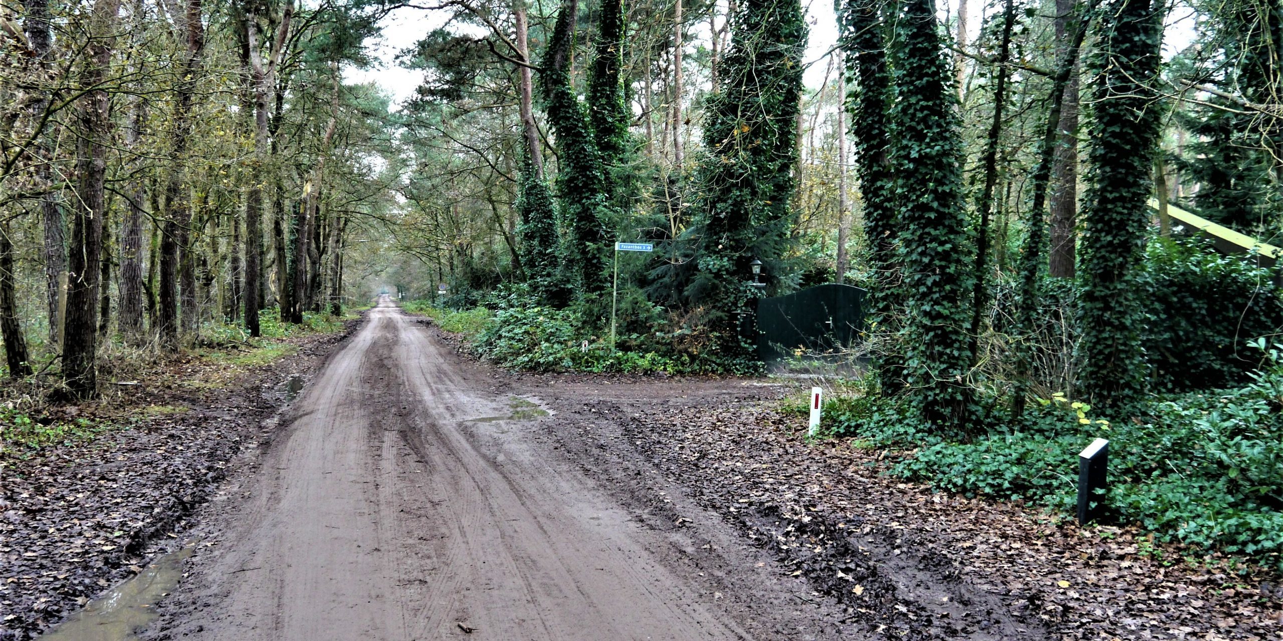 Startnotitie Distelberg