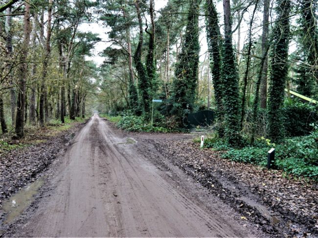 Startnotitie Distelberg