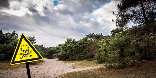 250828 Gif in L&D duinen