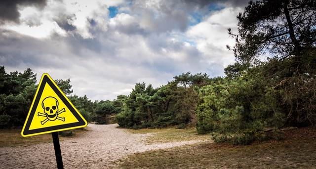 250828 Gif in L&D duinen